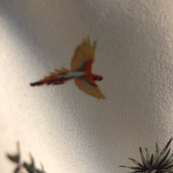 Tank - Picture 6 of 6